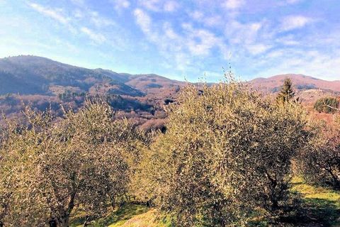 Landejendom i Pescia, Pistoia, Pescia - € 299.000 | Ref: 1343 - foto 6