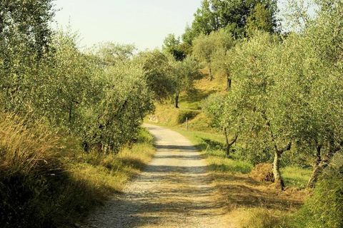 Landejendom i Pescia, Pistoia, Pescia - € 299.000 | Ref: 1343 - foto 8