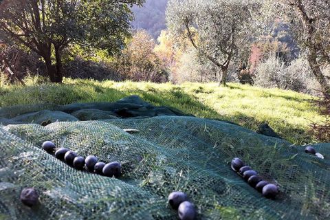 Landejendom i Pescia, Pistoia, Pescia - € 299.000 | Ref: 1343 - foto 10