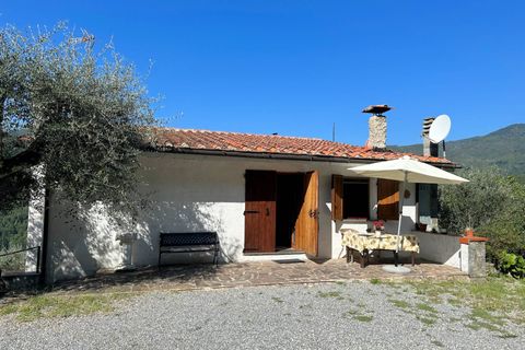 Landejendom i Pescia, Pistoia, Pescia - € 299.000 | Ref: 1343 - foto 11