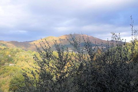 Landejendom i Pescia, Pistoia, Pescia - € 299.000 | Ref: 1343 - foto 12
