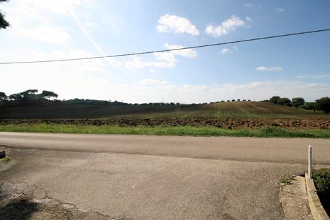 Landejendom i Roccastrada, Grosseto, Roccastrada - € 300.000 | Ref: 1381 - foto 8