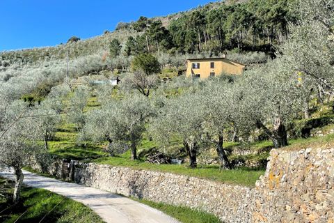 Landejendom i Calci, Pisa, Calci - € 1.200.000 | Ref: 1398 - foto 2