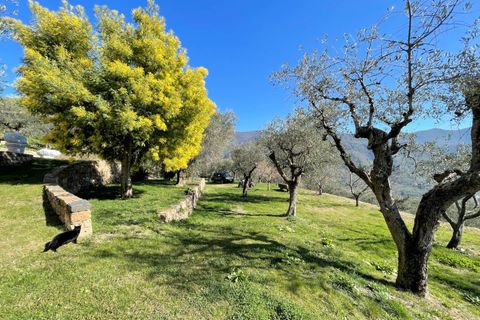 Landejendom i Calci, Pisa, Calci - € 1.200.000 | Ref: 1398 - foto 5