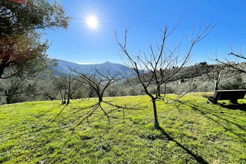 Landejendom i Calci, Pisa, Calci - € 1.200.000 | Ref: 1398 - foto 7
