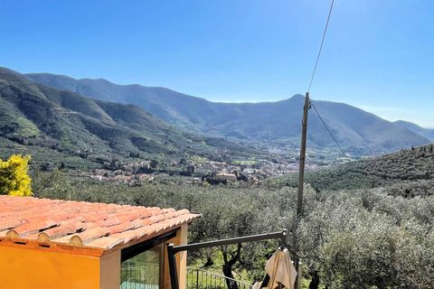 Landejendom i Calci, Pisa, Calci - € 1.200.000 | Ref: 1398 - foto 9