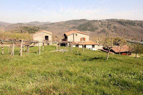 Landejendom i Roccastrada, Grosseto, Roccastrada - € 330.000 | Ref: 1418 - foto 10