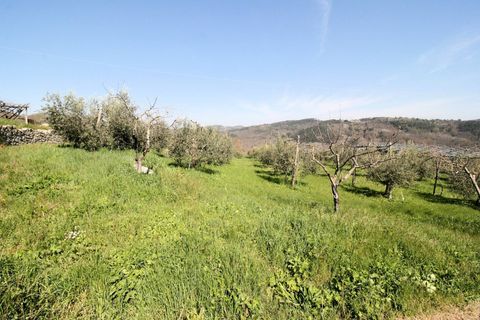 Landejendom i Roccastrada, Grosseto, Roccastrada - € 330.000 | Ref: 1418 - foto 12