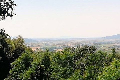 Landejendom i Roccastrada, Grosseto, Roccastrada - € 890.000 | Ref: 1420 - foto 9