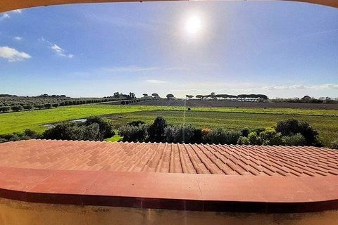 Landejendom i Capalbio, Grosseto, Capalbio - € 2.200.000 | Ref: 1445 - foto 3