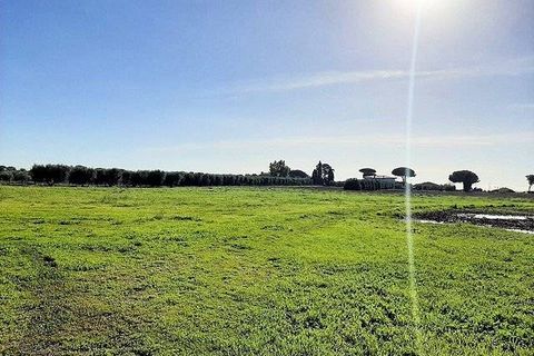 Landejendom i Capalbio, Grosseto, Capalbio - € 2.200.000 | Ref: 1445 - foto 8
