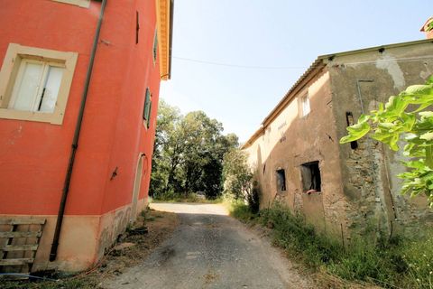 Landejendom i Santa Luce, Pisa, Santa Luce - € 290.000 | Ref: 1446 - foto 6