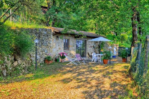 Landejendom i Reggello, Florence, Reggello - € 910.000 | Ref: 1477 - foto 10