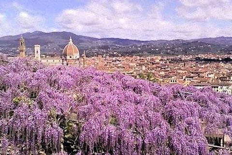 Lejlighed i Florence, Florence, Florence - € 1.830.000 | Ref: 1478 - foto 4