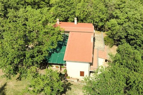 Landejendom i Roccastrada, Grosseto, Roccastrada - € 390.000 | Ref: 1489 - foto 7