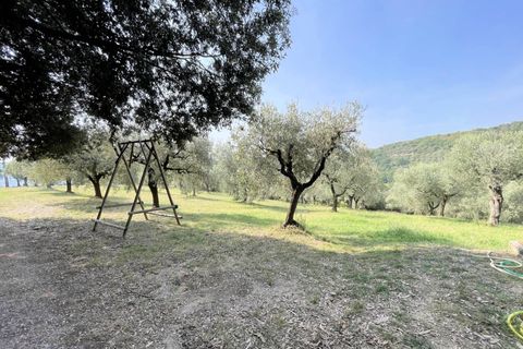 Landejendom i Vecchiano, Pisa, Vecchiano - € 1.200.000 | Ref: 1497 - foto 6