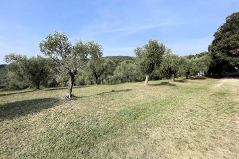 Landejendom i Vecchiano, Pisa, Vecchiano - € 1.200.000 | Ref: 1497 - foto 8