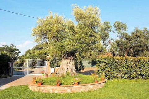 Landejendom i Altopascio, Lucca, Altopascio - € 1.350.000 | Ref: 1519 - foto 9
