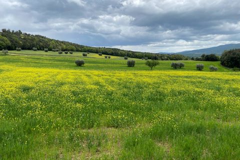 Landejendom i Pomarance, Pisa, Pomarance - € 380.000 | Ref: 1531 - foto 8