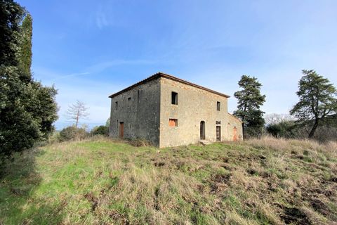 Landejendom i Lajatico, Pisa, Lajatico - € 190.000 | Ref: 1536 - foto 1