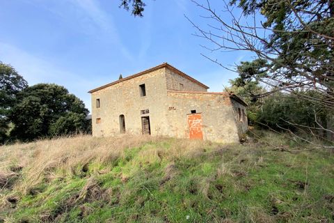 Landejendom i Lajatico, Pisa, Lajatico - € 190.000 | Ref: 1536 - foto 3