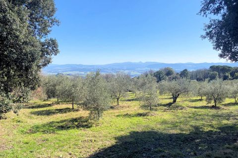 Landejendom i Lajatico, Pisa, Lajatico - € 190.000 | Ref: 1536 - foto 4