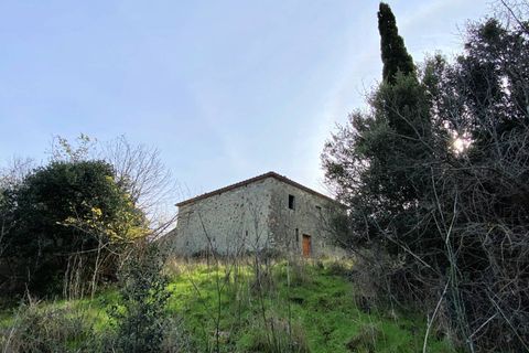 Landejendom i Lajatico, Pisa, Lajatico - € 190.000 | Ref: 1536 - foto 5
