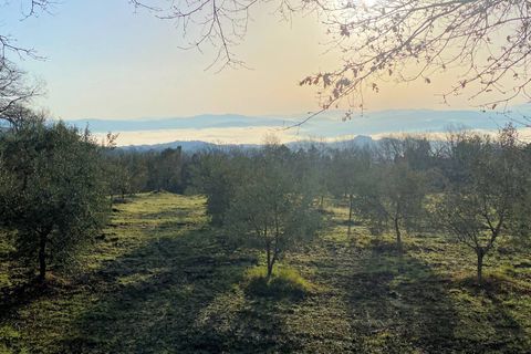 Landejendom i Lajatico, Pisa, Lajatico - € 190.000 | Ref: 1536 - foto 6