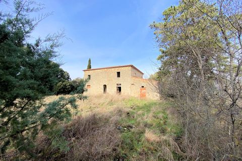 Landejendom i Lajatico, Pisa, Lajatico - € 190.000 | Ref: 1536 - foto 7