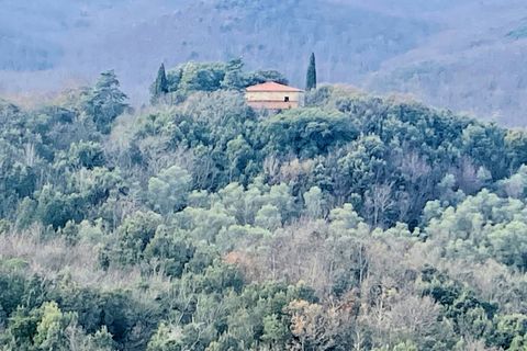 Landejendom i Lajatico, Pisa, Lajatico - € 190.000 | Ref: 1536 - foto 8