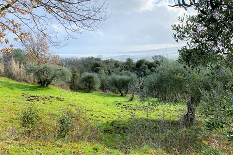 Landejendom i Lajatico, Pisa, Lajatico - € 190.000 | Ref: 1536 - foto 11