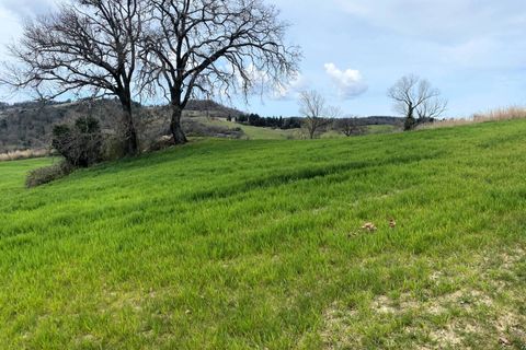 Landejendom i Lajatico, Pisa, Lajatico - € 190.000 | Ref: 1536 - foto 12