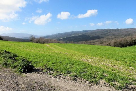 Landejendom i Lajatico, Pisa, Lajatico - € 190.000 | Ref: 1536 - foto 13