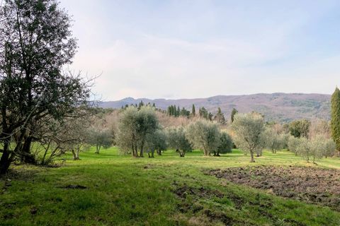 Landejendom i Lajatico, Pisa, Lajatico - € 190.000 | Ref: 1536 - foto 14