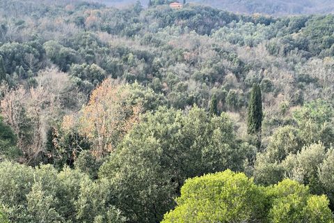 Landejendom i Lajatico, Pisa, Lajatico - € 190.000 | Ref: 1536 - foto 21