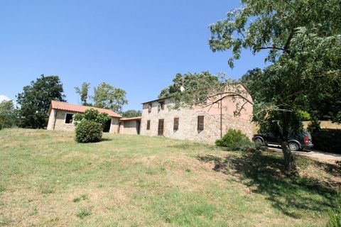 Landejendom i Scansano, Grosseto, Scansano - € 1.950.000 | Ref: 1541 - foto 5
