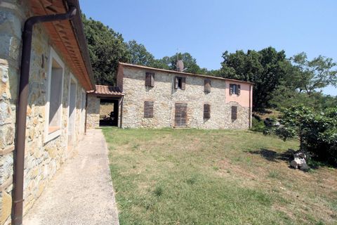 Landejendom i Scansano, Grosseto, Scansano - € 1.950.000 | Ref: 1541 - foto 7