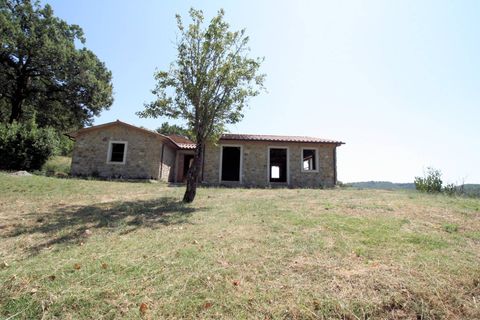 Landejendom i Scansano, Grosseto, Scansano - € 1.950.000 | Ref: 1541 - foto 17