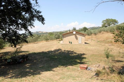 Landejendom i Scansano, Grosseto, Scansano - € 1.950.000 | Ref: 1541 - foto 18