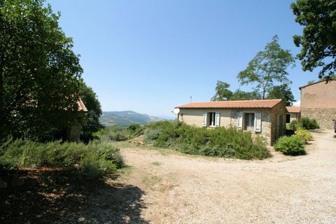 Landejendom i Scansano, Grosseto, Scansano - € 1.950.000 | Ref: 1541 - foto 20
