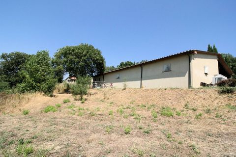 Landejendom i Scansano, Grosseto, Scansano - € 1.950.000 | Ref: 1541 - foto 21