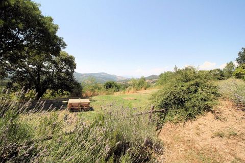 Landejendom i Scansano, Grosseto, Scansano - € 1.950.000 | Ref: 1541 - foto 23