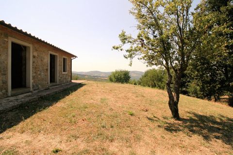 Landejendom i Scansano, Grosseto, Scansano - € 1.950.000 | Ref: 1541 - foto 28
