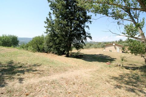 Landejendom i Scansano, Grosseto, Scansano - € 1.950.000 | Ref: 1541 - foto 29