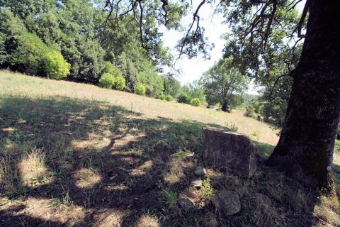 Landejendom i Scansano, Grosseto, Scansano - € 1.950.000 | Ref: 1541 - foto 32