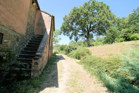 Landejendom i Scansano, Grosseto, Scansano - € 1.950.000 | Ref: 1541 - foto 33