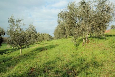 Landejendom i Grosseto, Grosseto, Grosseto - € 590.000 | Ref: 1556 - foto 6