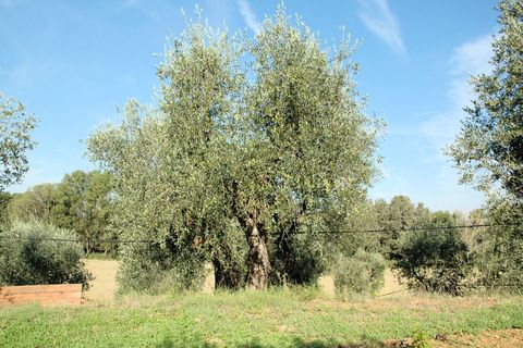 Landejendom i Grosseto, Grosseto, Grosseto - € 590.000 | Ref: 1556 - foto 10