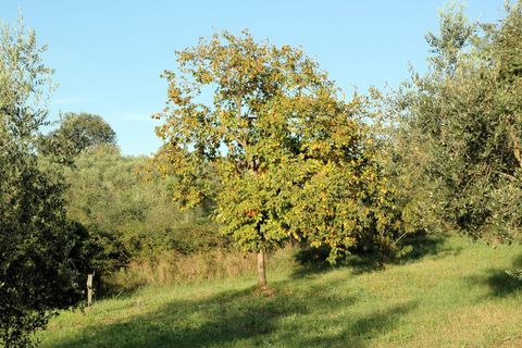 Landejendom i Grosseto, Grosseto, Grosseto - € 590.000 | Ref: 1556 - foto 14