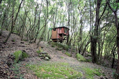 Landejendom i Roccastrada, Grosseto, Roccastrada - € 295.000 | Ref: 1562 - foto 14